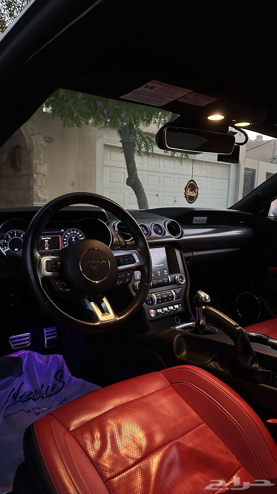 2019 Mustang Performance Package Interior Red63617965973762113