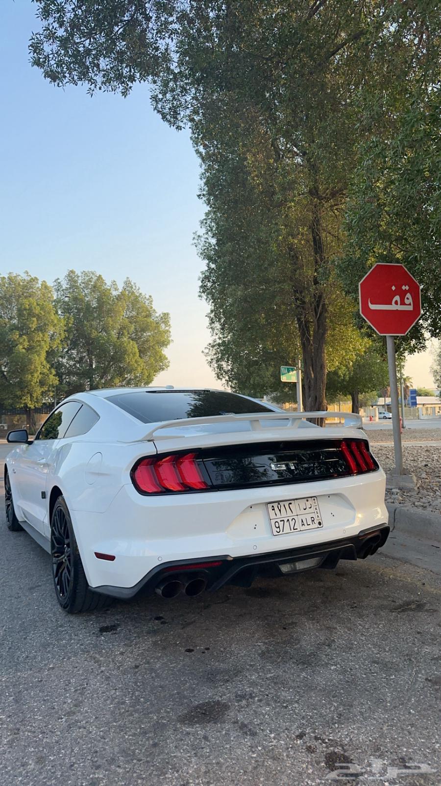2019 Mustang Performance Package Interior Red63617965973762111