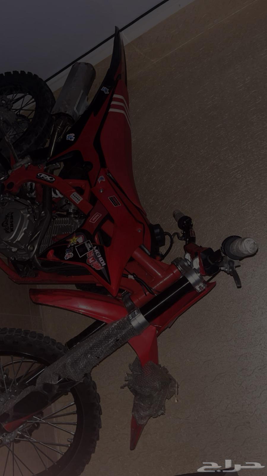 دباب صحراوي مهدي63624507255170111