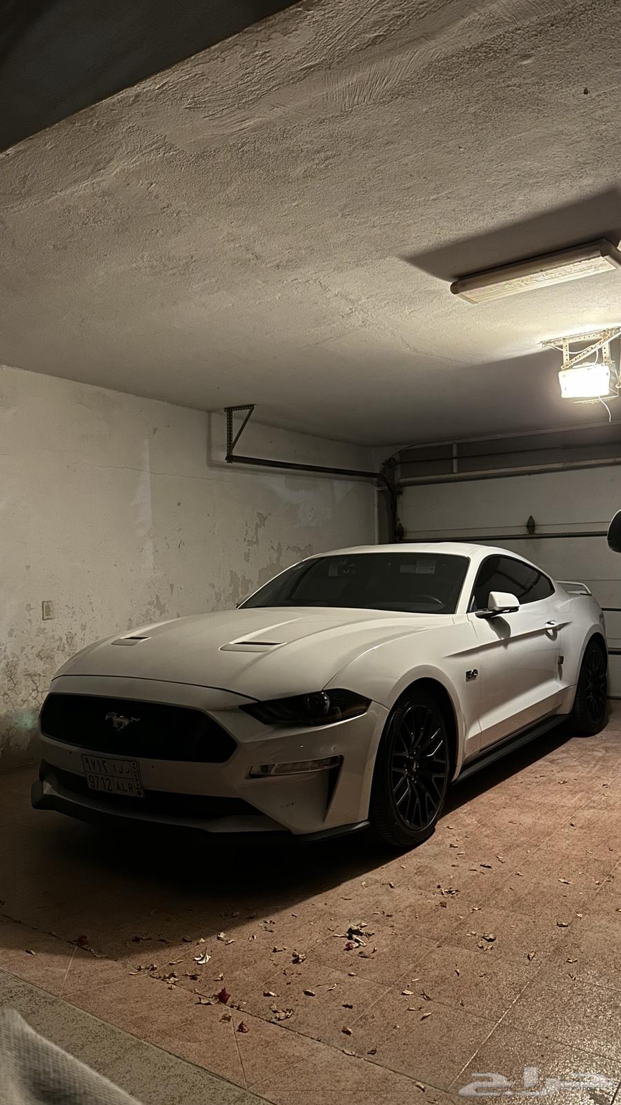 2019 Mustang Performance Package Interior Red63617965973762112