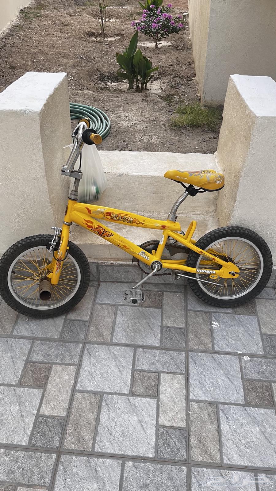Cobra bicycle 16-inch, clean, no issues, 300 SAR63618674977923113