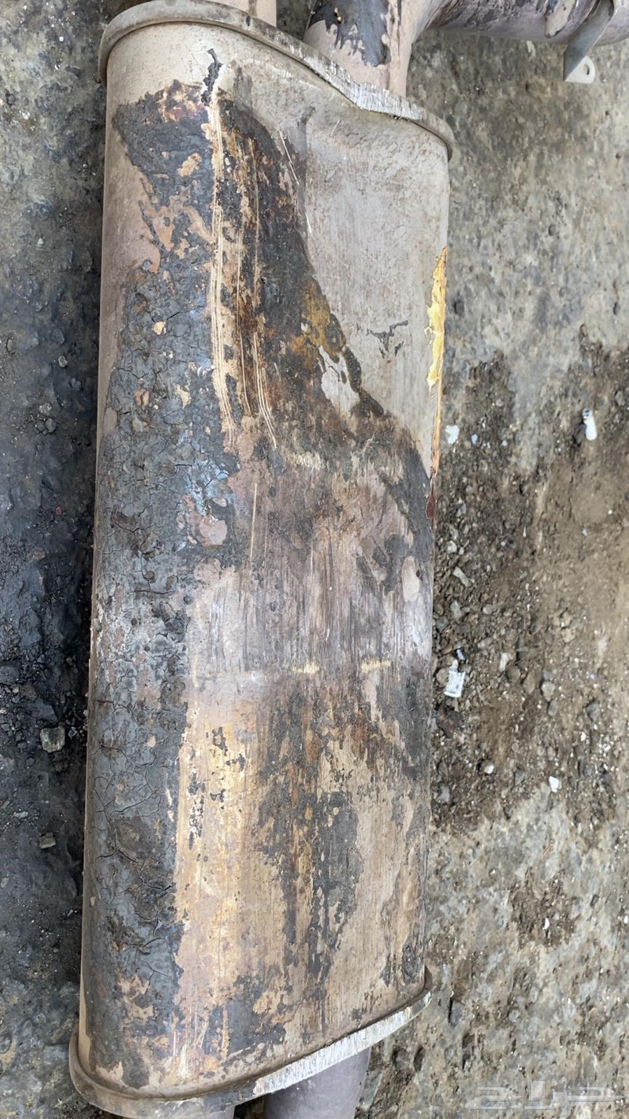 Caterpillar Excavator and Loader 2007 and Above 8 Cylinder63621655372546113
