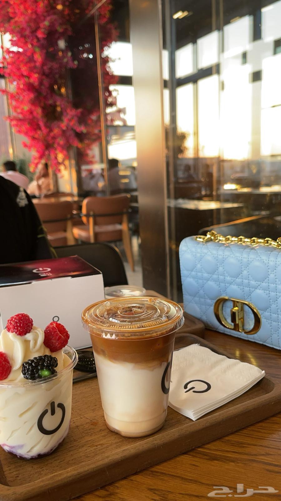 Dior Bag63618665105027111