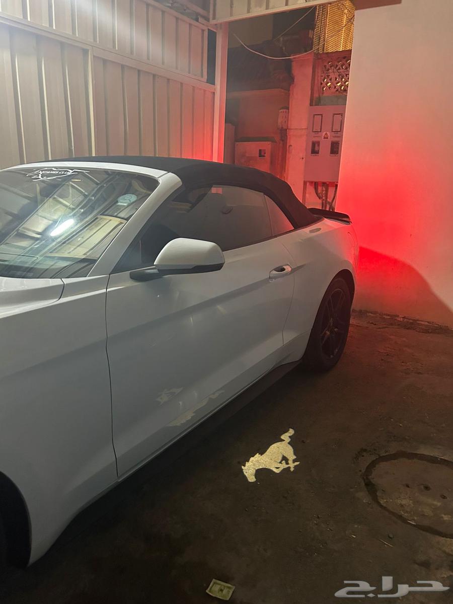 Mustang 2019 Eco Boost63654641495425110