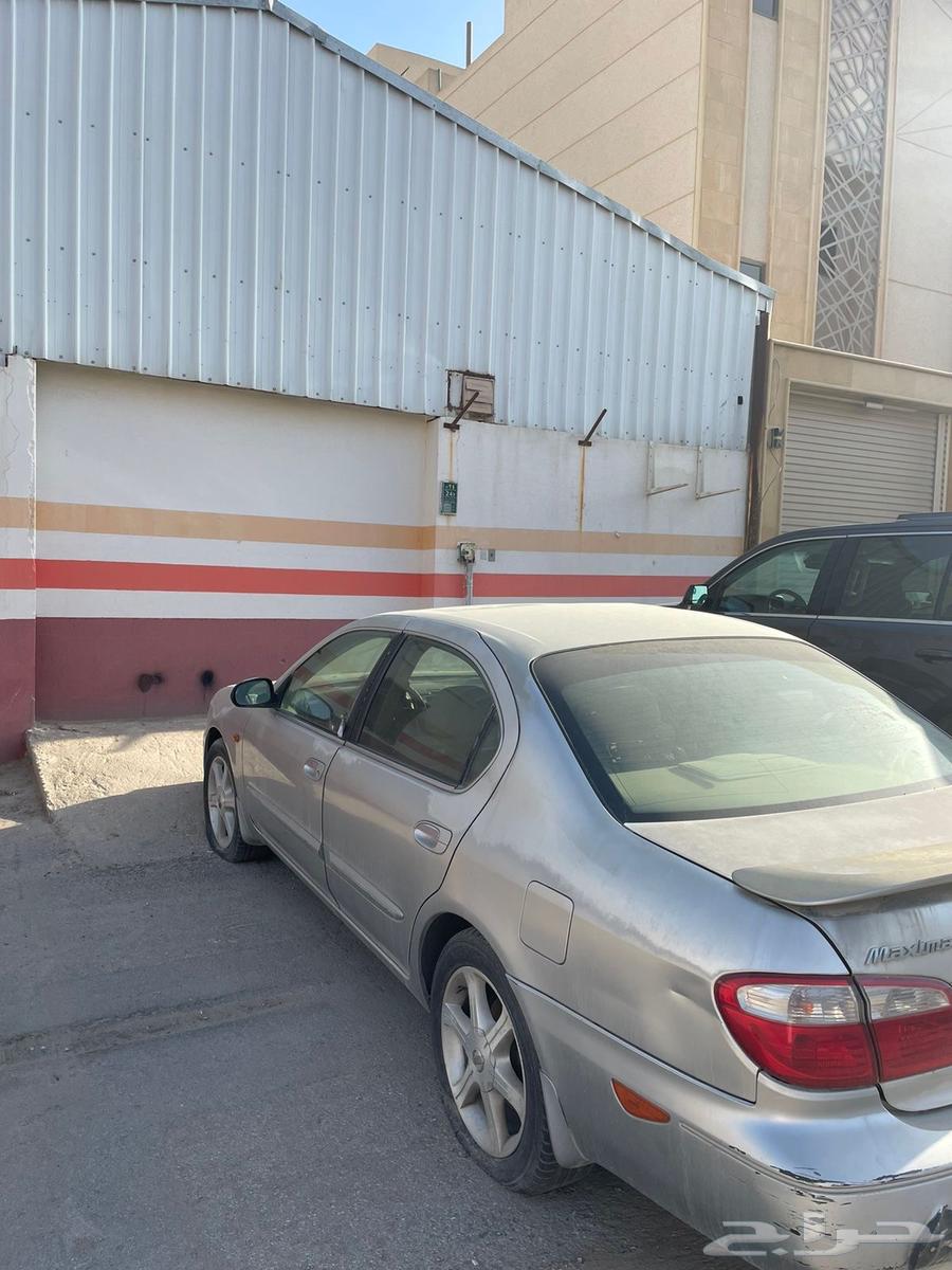 مكسيما 200463654642169219111