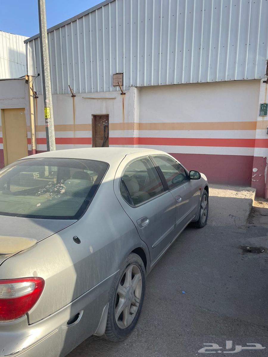 مكسيما 200463654642169219110