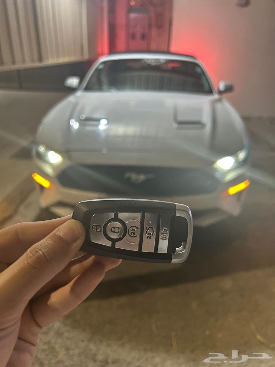Mustang 2019 Eco Boost63654641495425112