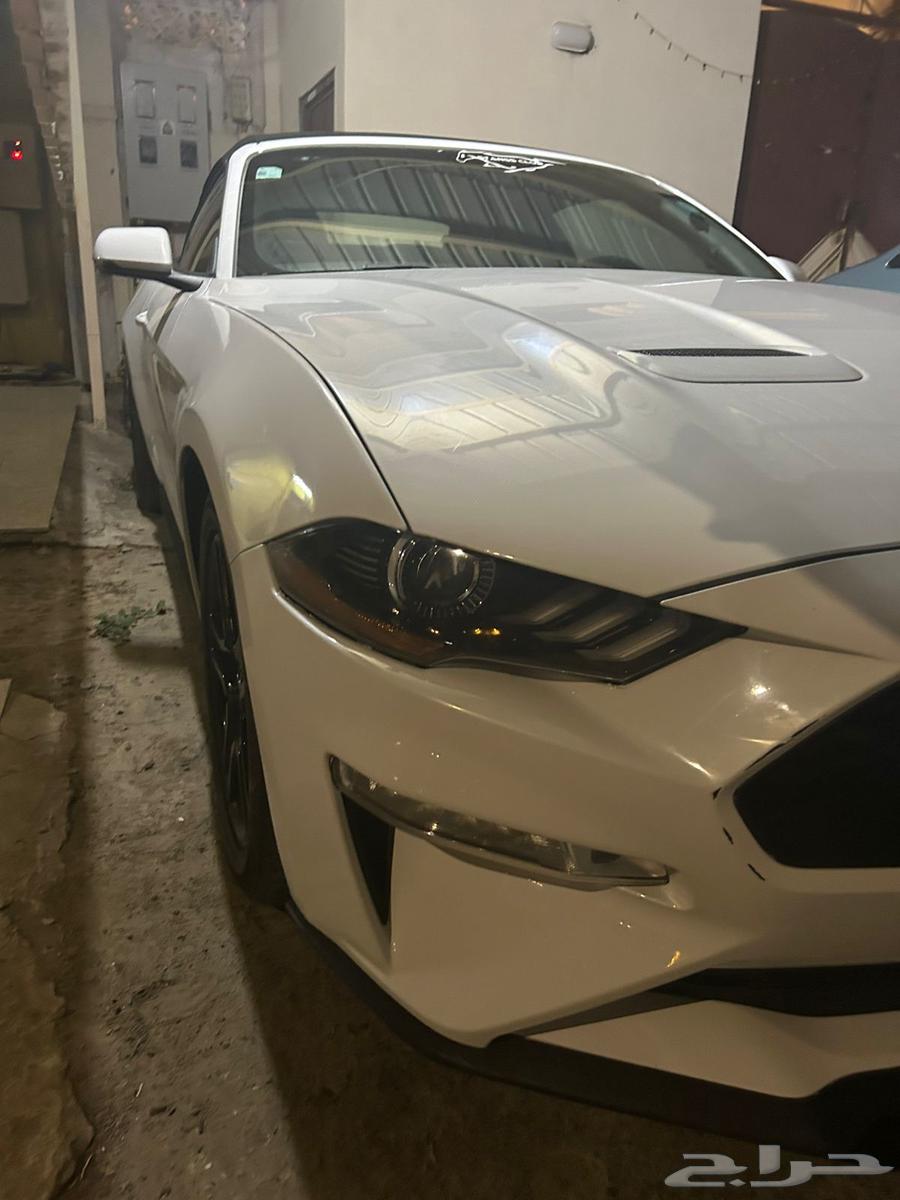 Mustang 2019 Eco Boost63654641495425114