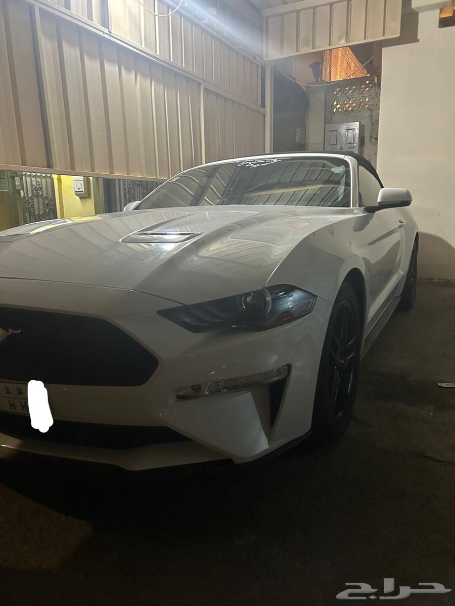 Mustang 2019 Eco Boost63654641495425113