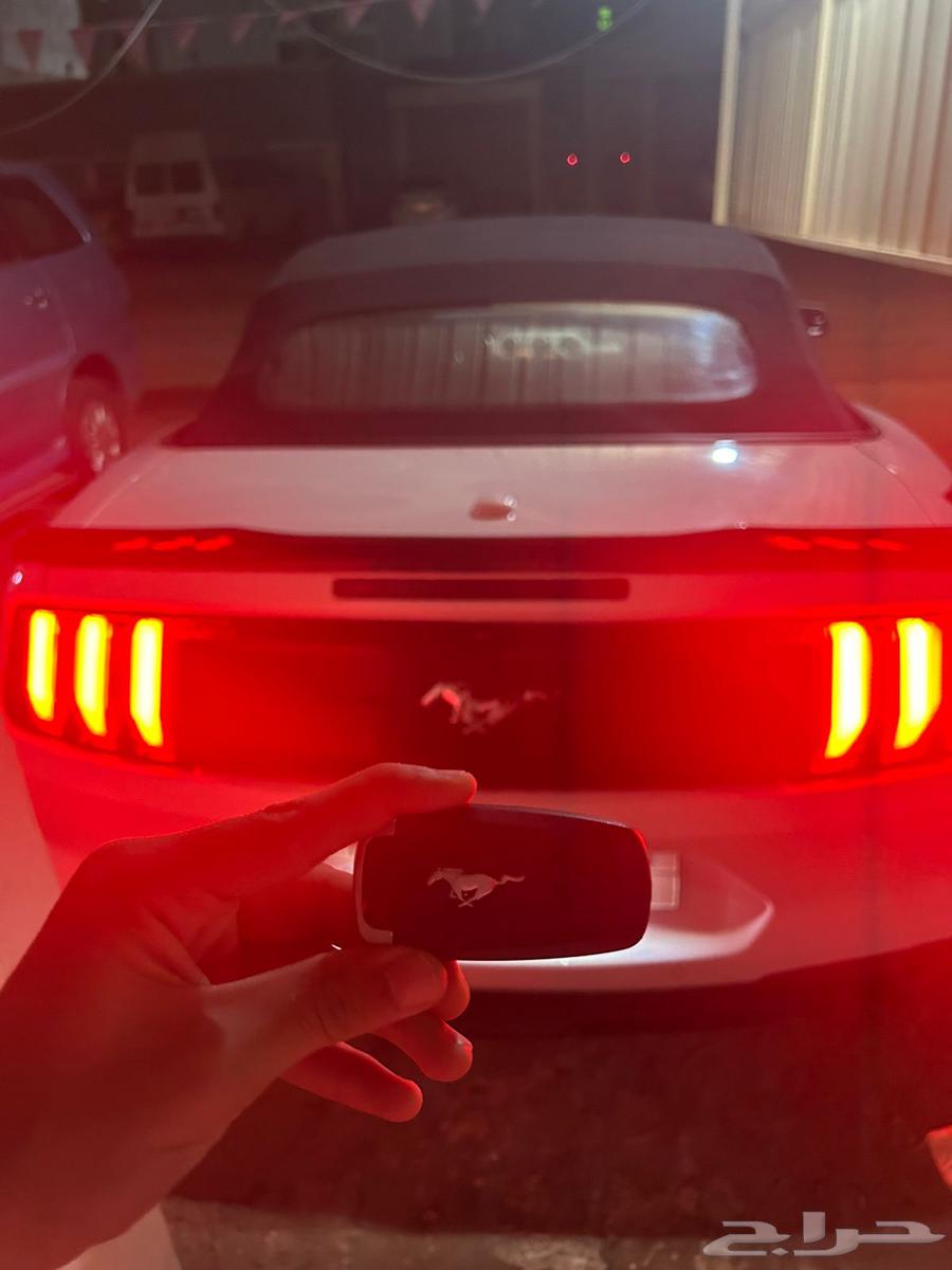 Mustang 2019 Eco Boost63654641495425111