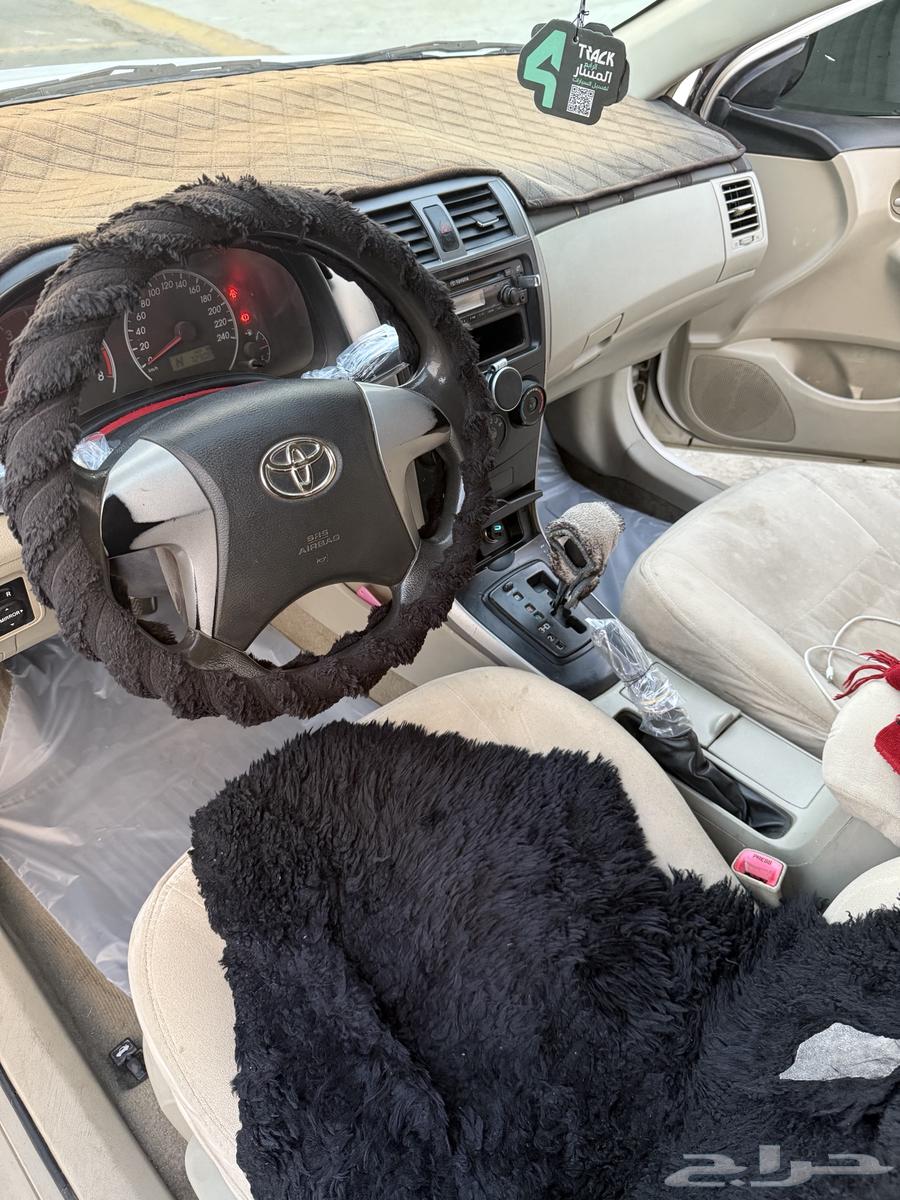 Korla 2012 for sale63654638463618110