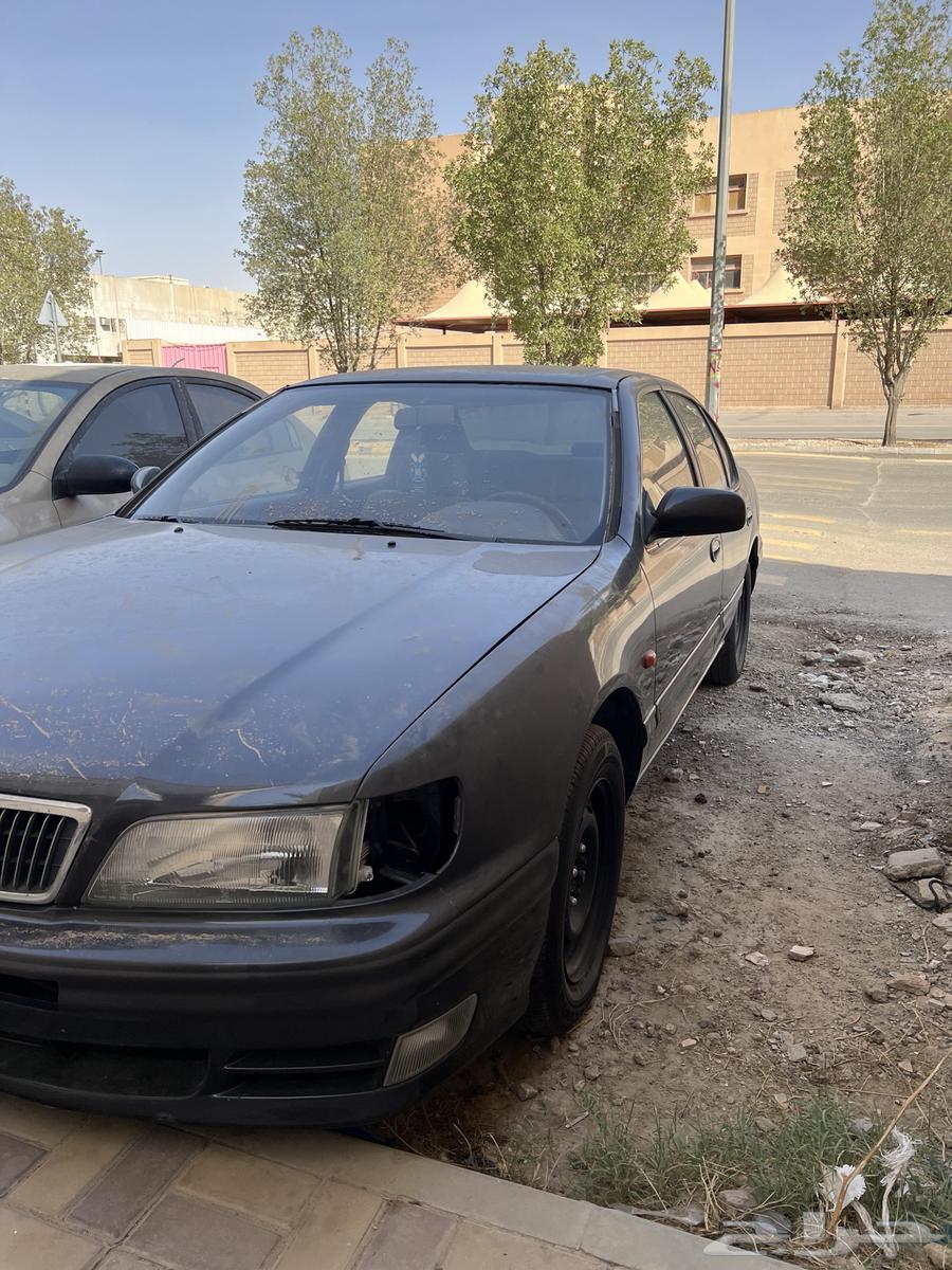 مكسيما 1996 للبيع63654644184193112