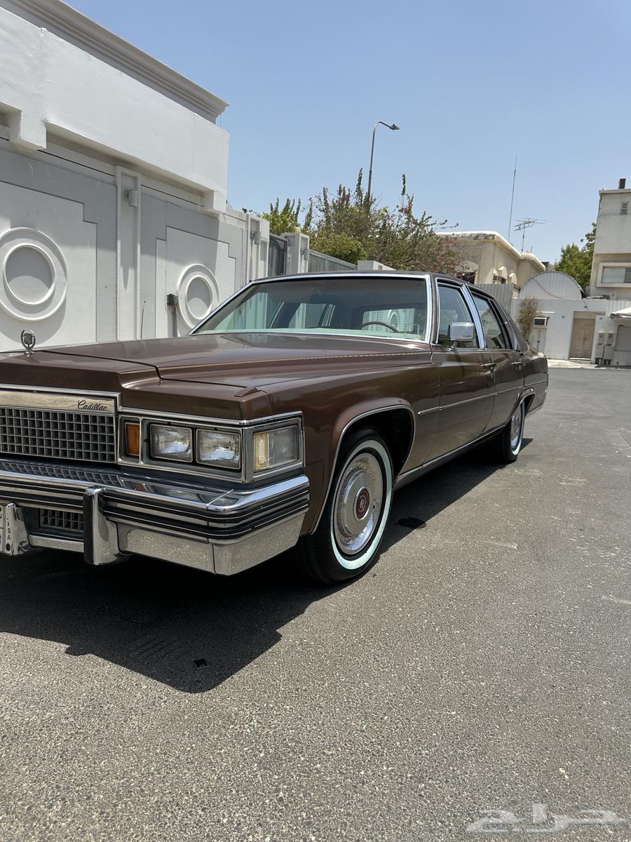 كدلك 197963620566300546111