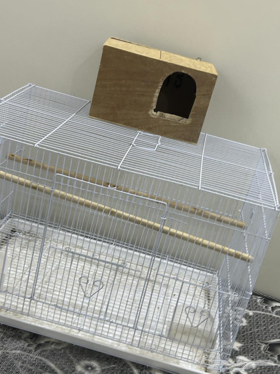 Cage 601 almost new and unused63618764270721111