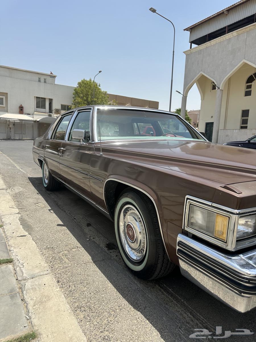 كدلك 197963620566300546113
