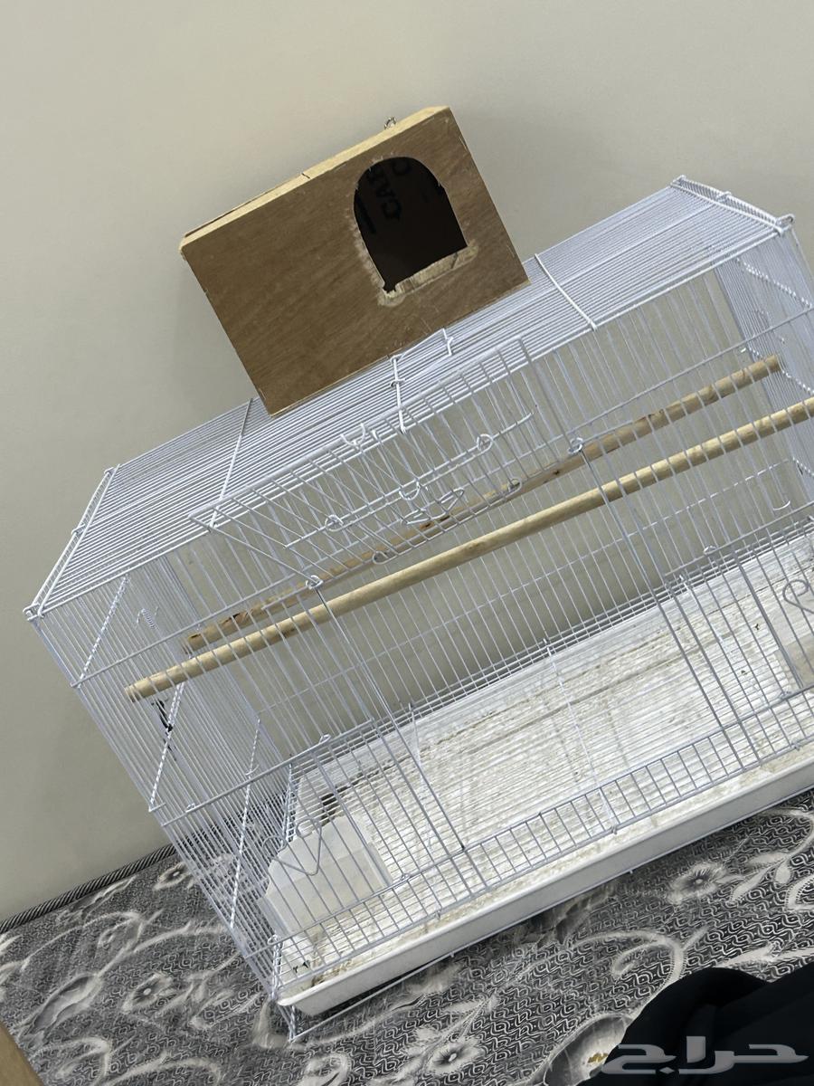 Cage 601 almost new and unused63618764270721112