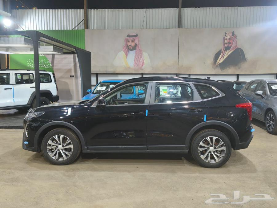 Haval Julian Half Option Model 202563654636350466114