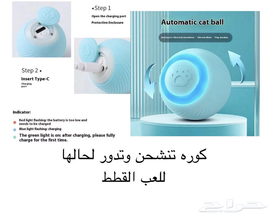 مستلزمات قطط للبيع اغراض قطط63618674660226113