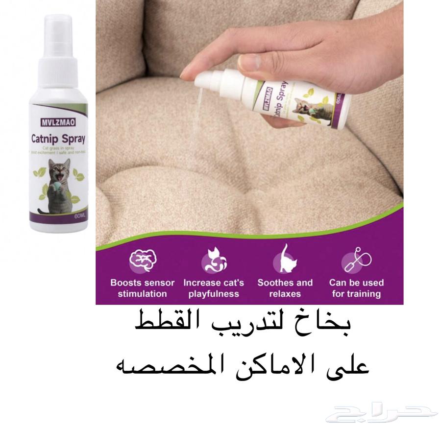 مستلزمات قطط للبيع اغراض قطط63618674660226112