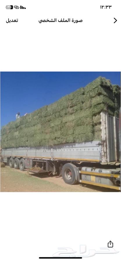 Alfalfa for sale63618665024003111