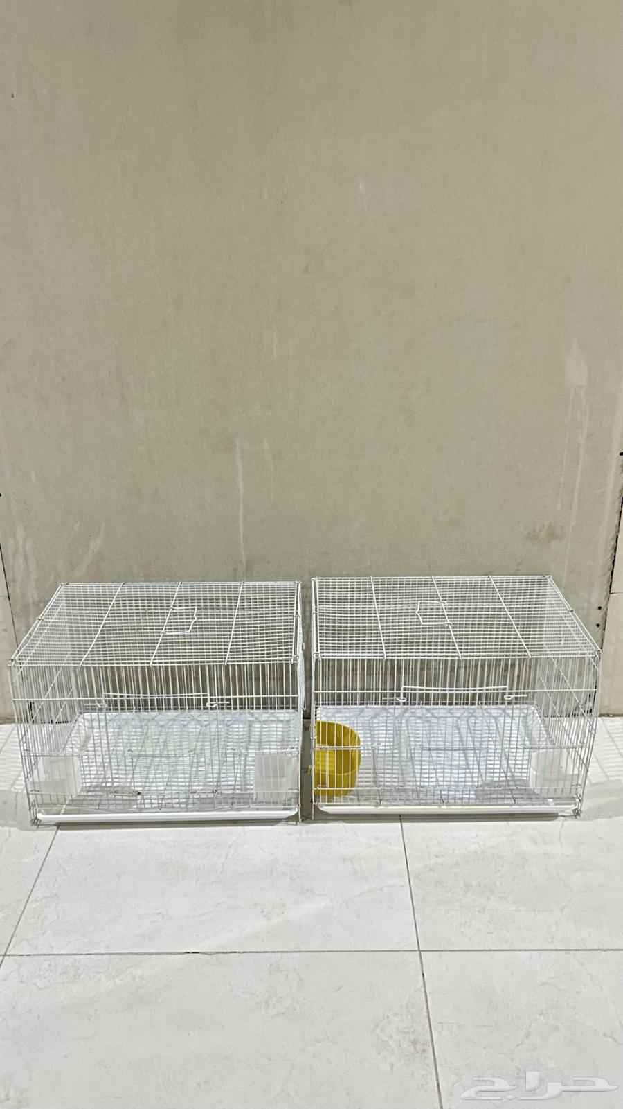 Bird cage.63618767743873111