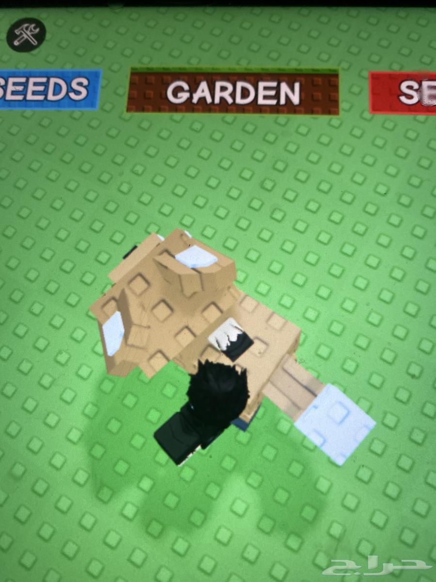 Roblox Grow Garden accounts for sale, pets for sale, Block Spin63618781306881113