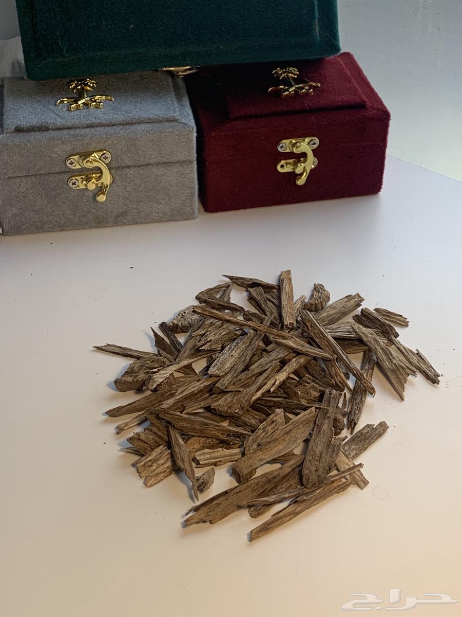 Premium Kalimantan Oud Accuracy (( Special Price ))63618859542659111