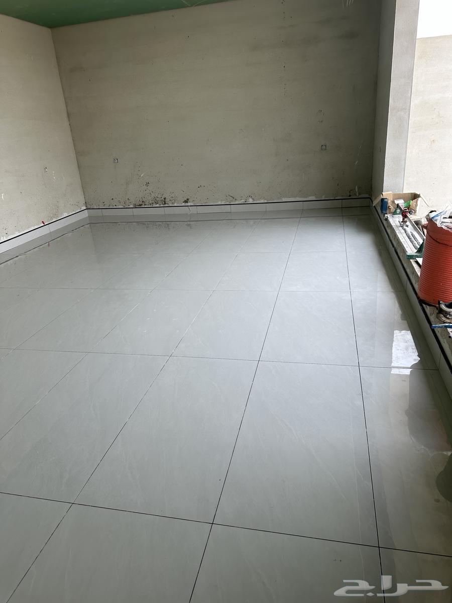Syrian tiler63611942122241114