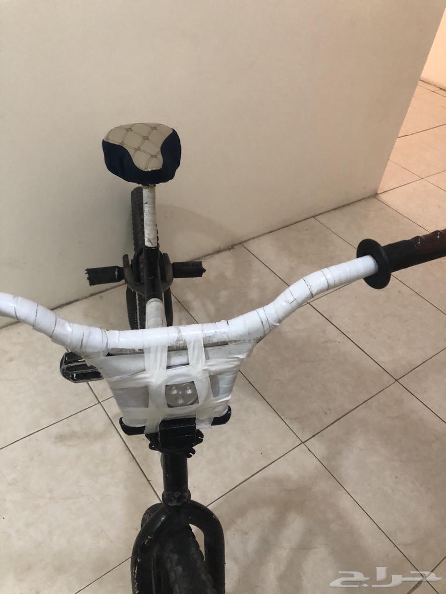 Cobra bicycle size 2063618864046723111