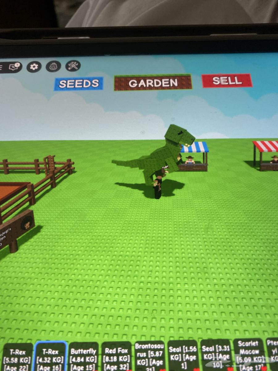 Roblox Grow Garden accounts for sale, pets for sale, Block Spin63618781306881111