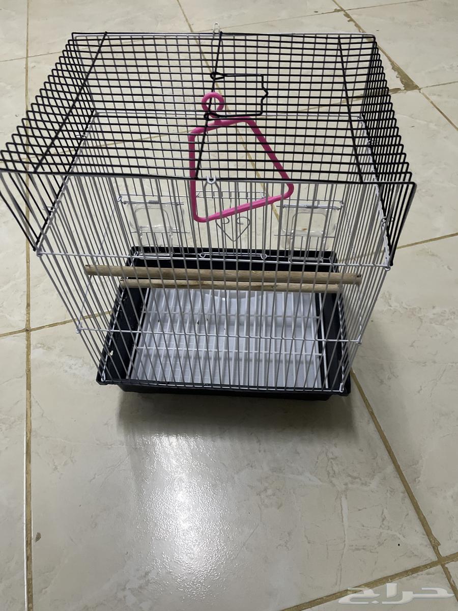 Cage for sale, must be used for one or two days63618778914050111