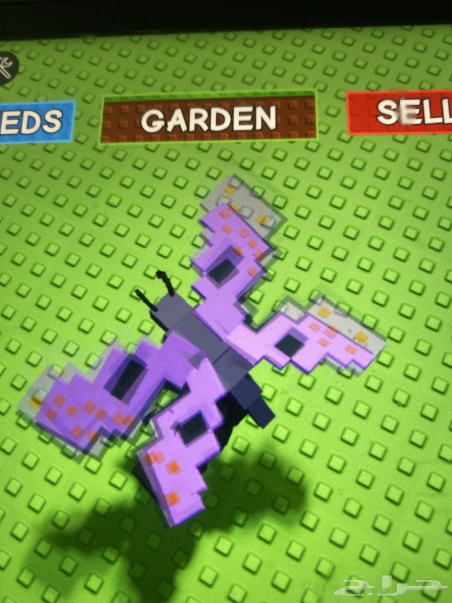 Roblox Grow Garden accounts for sale, pets for sale, Block Spin63618781306881112