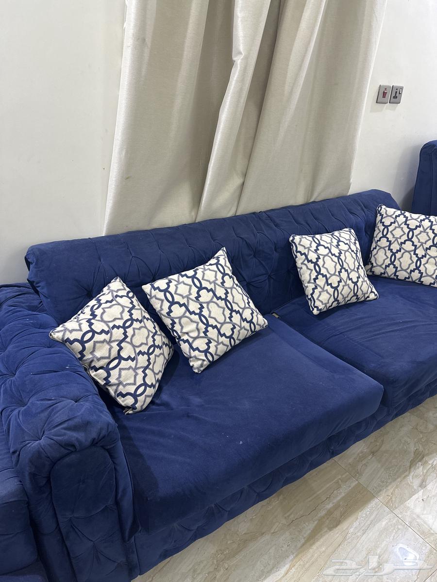 Navy Blue Sofa 463618768885763111