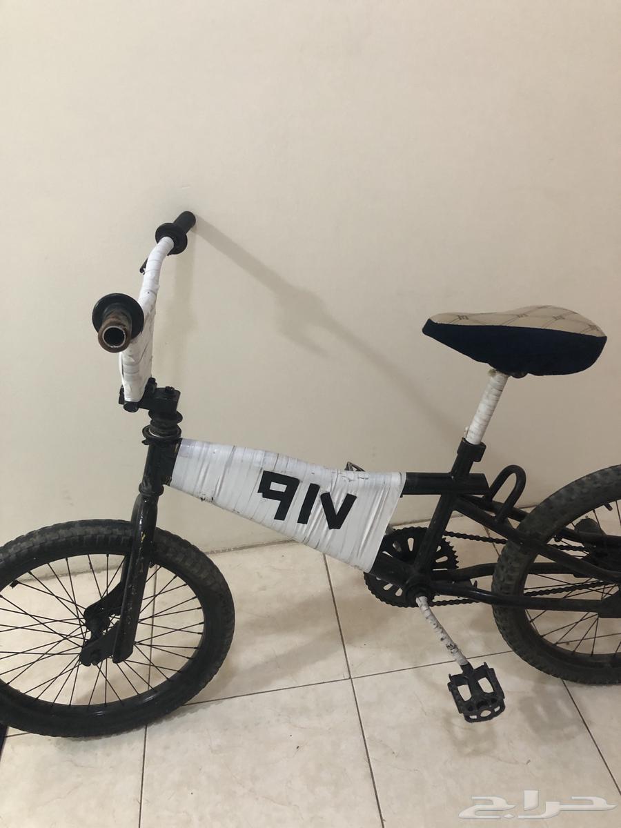 Cobra bicycle size 2063618864046723112
