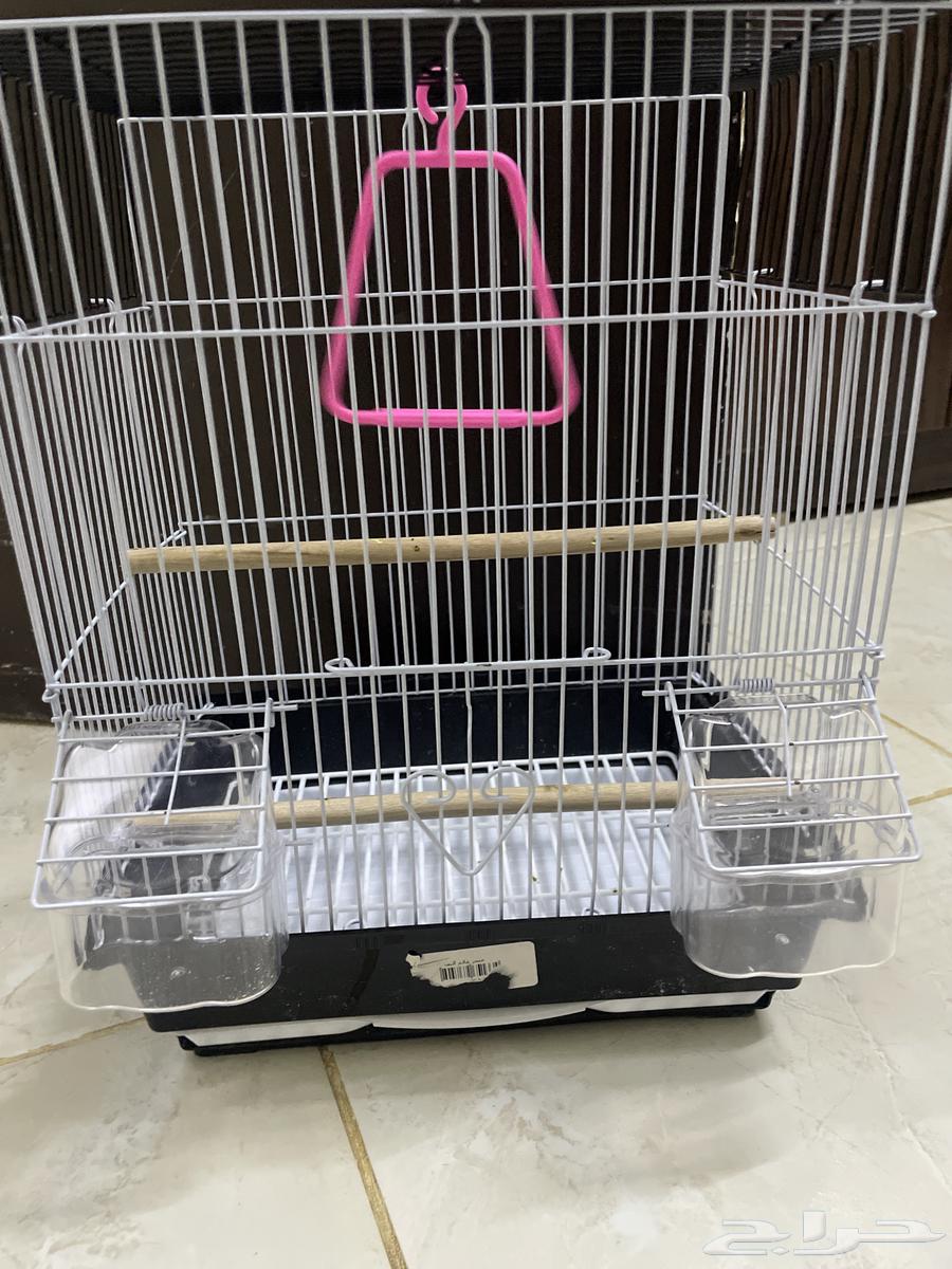 Cage for sale, must be used for one or two days63618778914050112
