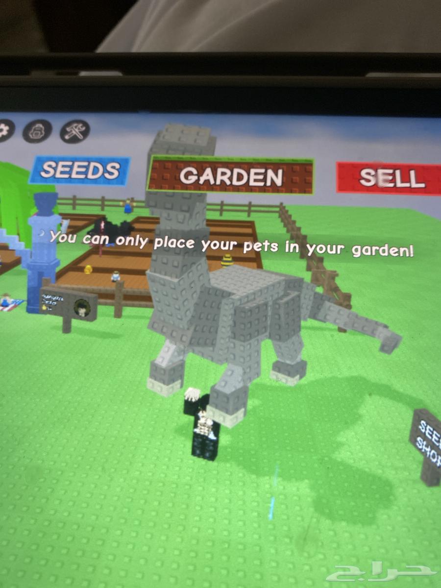 Roblox Grow Garden accounts for sale, pets for sale, Block Spin63618781306881114