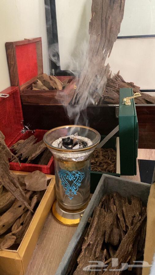 Authentic Old Indian Oud Nawaadir63618955763330112