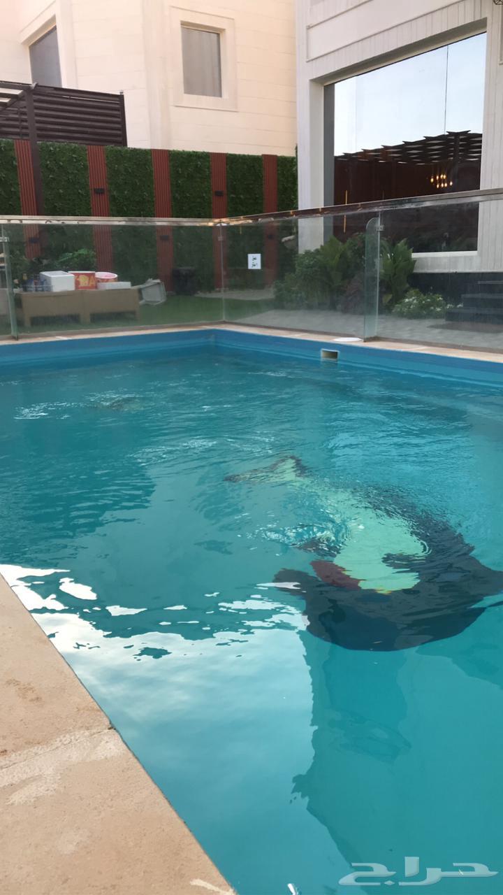 Fiberglass swimming pool63618774337411111
