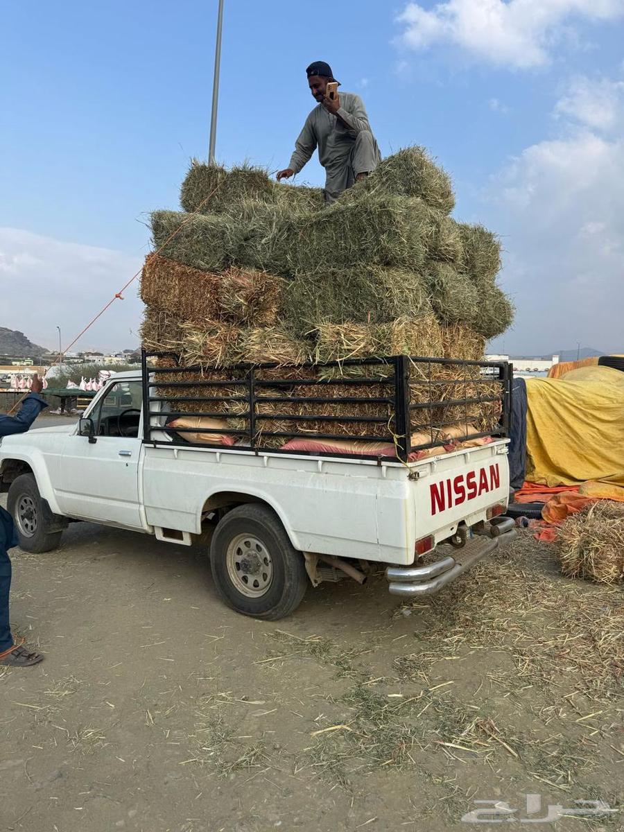 شاص نيسان موديل 9963654649247874114