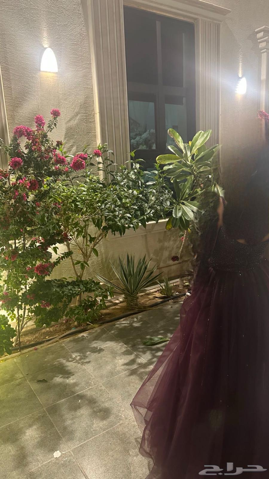 Evening dress63618959020803112