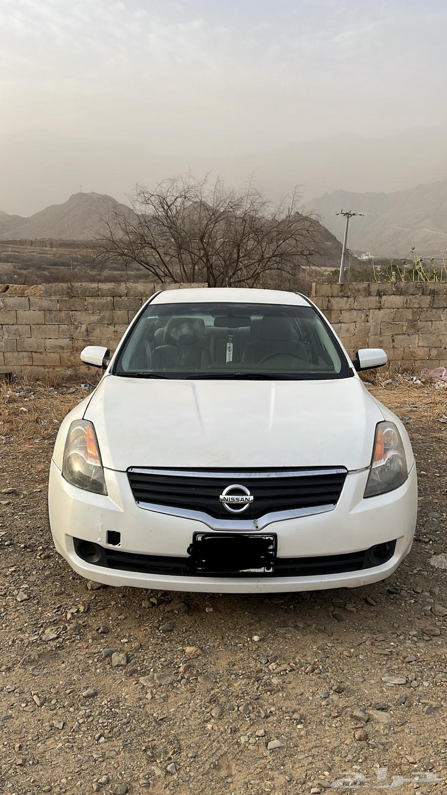 Tima Nissan White63655052736002110