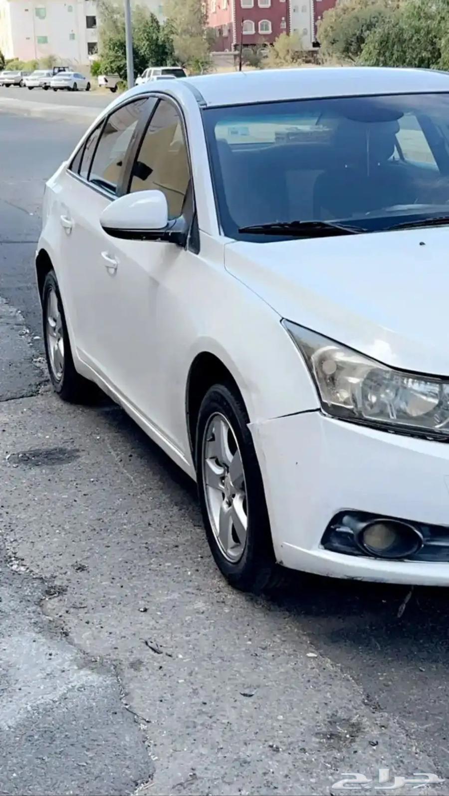 شوفولي 201263655057649538114