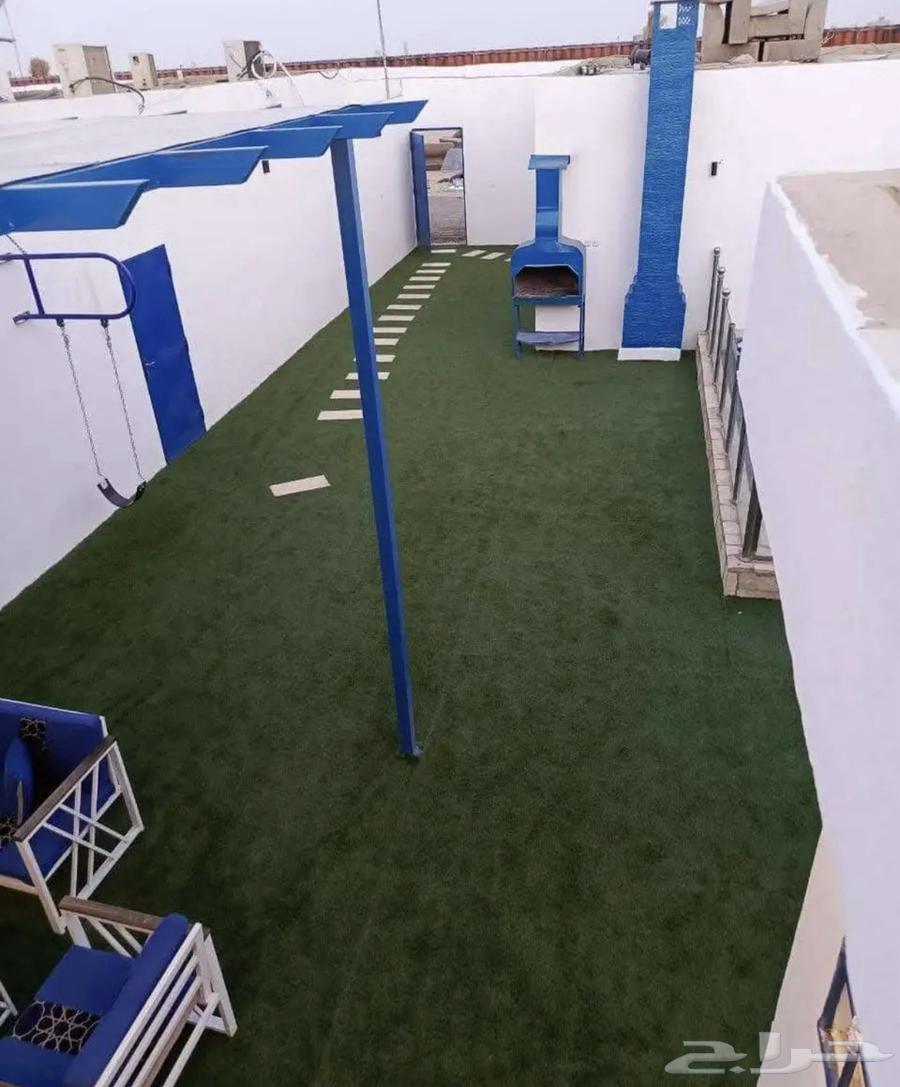 شاليهات هاف داي63623386660609112