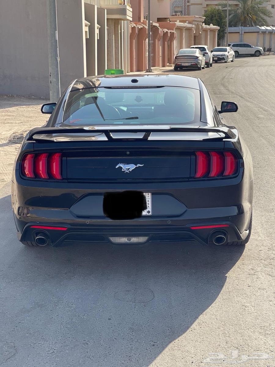 Mustang Performance Package 2019 with low mileage63655056949633113