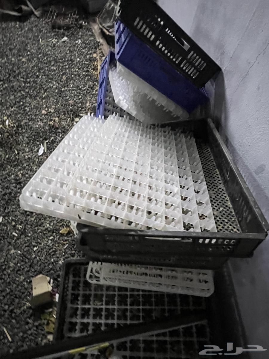 Incubator for sale63618958550274114