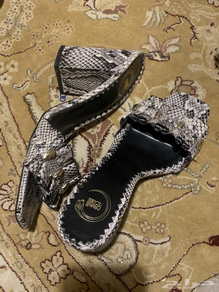 كعب روبرتو كفالي cavalli class63618960419971112