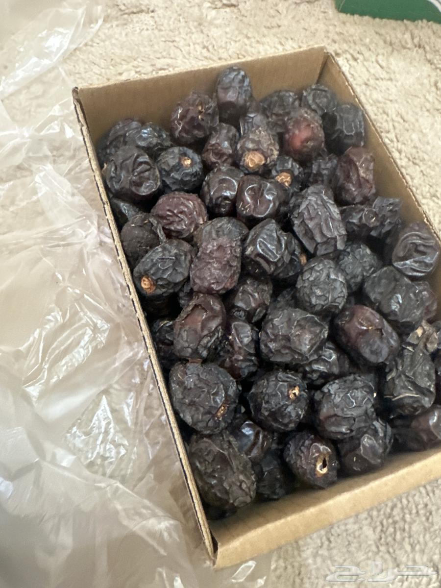 Medina dates63621760203907111