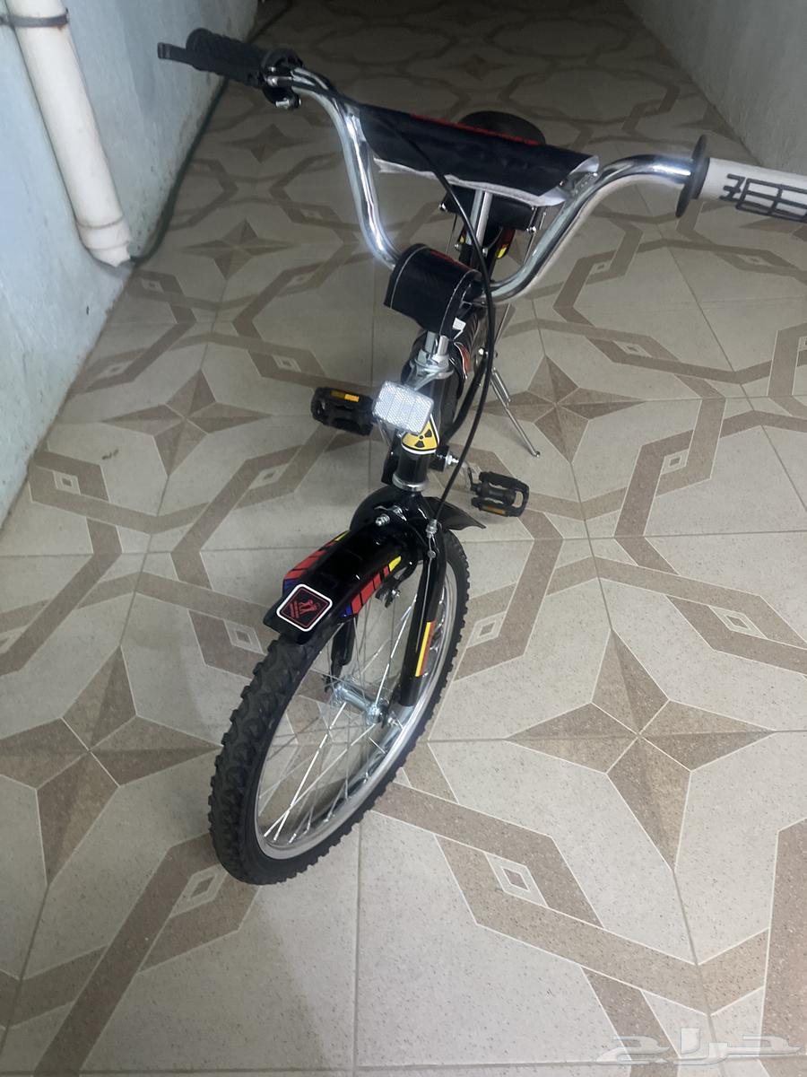 سيكال رامبو جديد63624053814273112