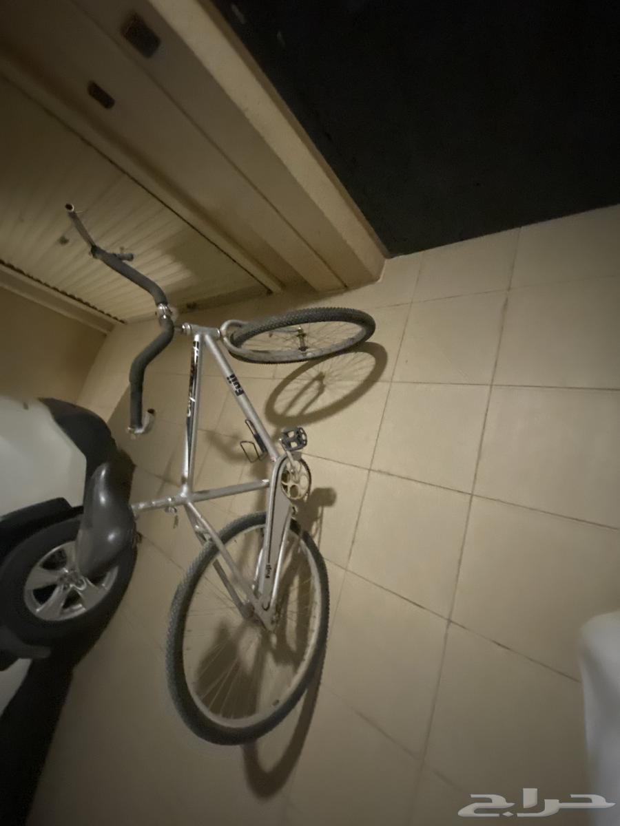 للبيع سيكل Fuii جدأ جدأ رهيب والجنزير خفيف يسرع بسرعه جميل63620836814083111