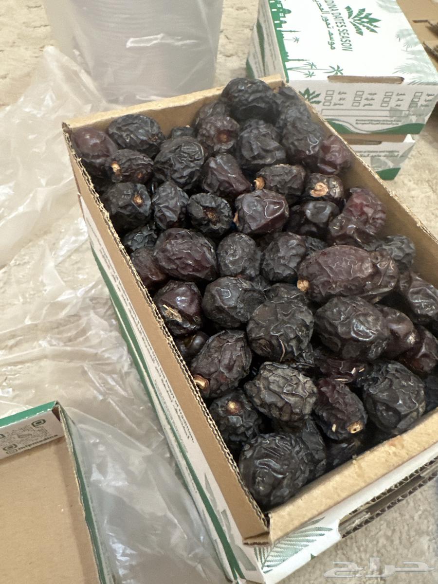 Medina dates63621760203907113